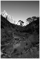Virgin River and Court of the Patriarchs, early morning. Zion National Park, Utah, USA. (black and white)