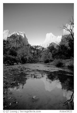 Court of  Patriarchs reflected in the Virgin River, sunrise. Zion National Park, Utah, USA.