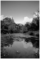 Court of  Patriarchs reflected in the Virgin River, sunrise. Zion National Park, Utah, USA. (black and white)