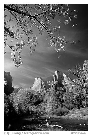 Court of the Patriarchs and Virgin River, mid-day. Zion National Park (black and white)