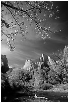 Court of the Patriarchs and Virgin River, mid-day. Zion National Park, Utah, USA. (black and white)