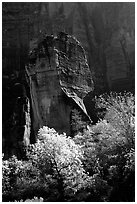 The Pulpit, temple of Sinawava, late morning. Zion National Park, Utah, USA. (black and white)