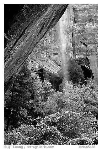 Cliff and waterfall, near  first Emerald Pool. Zion National Park (black and white)