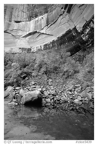 Multi-colored rock walls above the Third Emerald Pool. Zion National Park, Utah, USA.