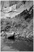 Multi-colored rock walls above the Third Emerald Pool. Zion National Park, Utah, USA. (black and white)