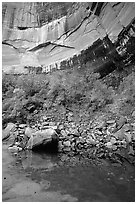 Multi-colored rock walls above the Third Emerald Pool. Zion National Park, Utah, USA. (black and white)