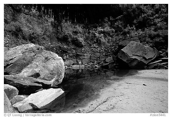 Sandstone boulders in Third Emerald Pool. Zion National Park, Utah, USA.