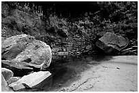 Sandstone boulders in Third Emerald Pool. Zion National Park, Utah, USA. (black and white)