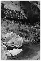 Boulders in  Third Emerald Pool. Zion National Park, Utah, USA. (black and white)