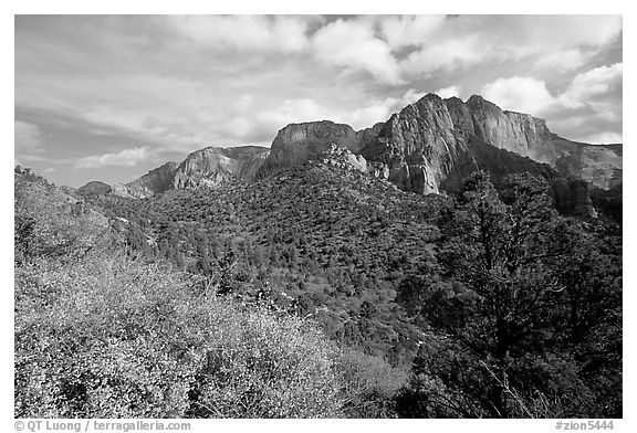 Finger canyons of the Kolob. Zion National Park (black and white)
