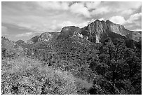 Finger canyons of the Kolob. Zion National Park, Utah, USA. (black and white)