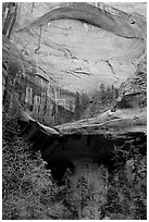 Double Arch Alcove, Middle Fork of Taylor Creek. Zion National Park ( black and white)