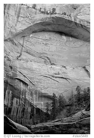 Double Arch Alcove, Middle Fork of Taylor Creek. Zion National Park, Utah, USA.