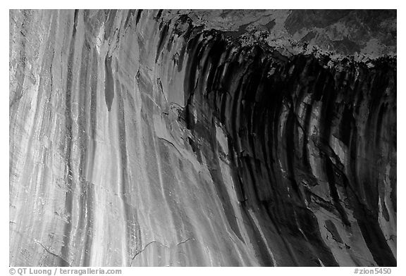 Striated rock in  base alcove of  Double Arch Alcove, Middle Fork of Taylor Creek. Zion National Park (black and white)