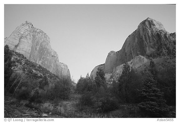 Middle Fork of Taylor Creek, one of  Finger canyons, sunset. Zion National Park, Utah, USA.