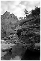 Left Fork of the North Creek. Zion National Park, Utah, USA. (black and white)