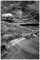 Travertine terraced cascades in autum, Left Fork. Zion National Park ( black and white)