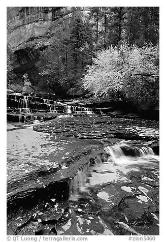 Cascades over terraces, Left Fork of the North Creek. Zion National Park (black and white)