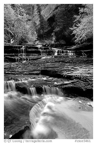 Archangel Falls in autumn, Left Fork of the North Creek. Zion National Park (black and white)