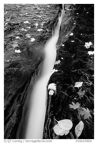 Six inch wide crack where  water of  Left Fork of the North Creek runs. Zion National Park, Utah, USA.