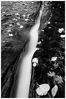 Six inch wide crack where  water of  Left Fork of the North Creek runs. Zion National Park ( black and white)