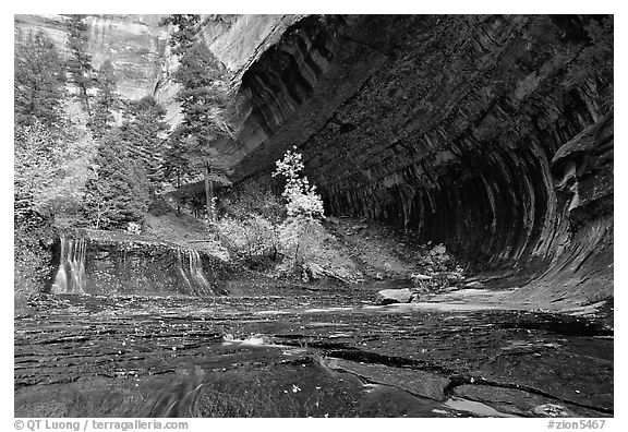 Cascade and alcove, Left Fork of the North Creek. Zion National Park, Utah, USA.