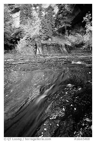 Cascade over smoothly sculptured rock, Left Fork of the  North Creek. Zion National Park (black and white)