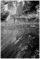 Cascade over smoothly sculptured rock, Left Fork of the  North Creek. Zion National Park ( black and white)