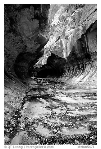 Entrance of the Subway, Left Fork of the North Creek. Zion National Park, Utah, USA.