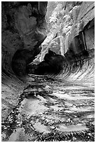 Entrance of the Subway, Left Fork of the North Creek. Zion National Park, Utah, USA. (black and white)