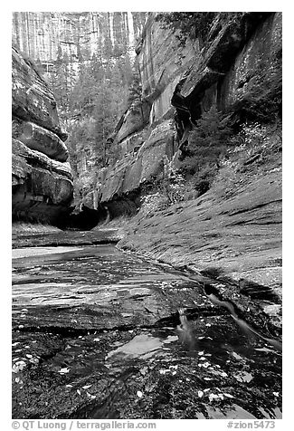 Entrance of the Subway, Left Fork of the North Creek. Zion National Park (black and white)