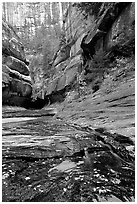 Entrance of the Subway, Left Fork of the North Creek. Zion National Park ( black and white)