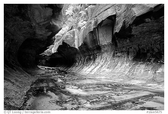 The Subway, a tunnel shaped like a round tube, Left Fork of the North Creek. Zion National Park, Utah, USA.