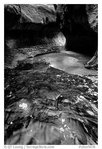 Water flowing in pools in the Subway, Left Fork of the North Creek. Zion National Park, Utah, USA.