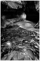 Water flowing in pools in the Subway, Left Fork of the North Creek. Zion National Park ( black and white)