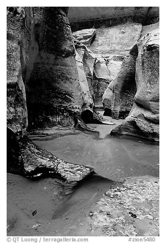 Pools and sculptured sandstone walls, the Subway, Left Fork of the North Creek. Zion National Park, Utah, USA.