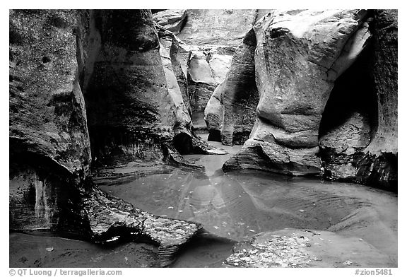 Pools and rock walls sculptured by fast flowing water, the Subway, Left Fork of the North Creek. Zion National Park, Utah, USA.