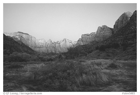 Towers of the Virgin from behind  Museum, dawn. Zion National Park, Utah, USA.