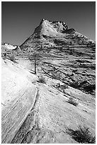 Sandstone swirls, Zion Plateau. Zion National Park, Utah, USA. (black and white)