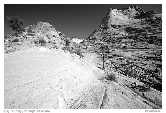 Sandstone circular striations, Zion Plateau. Zion National Park, Utah, USA.