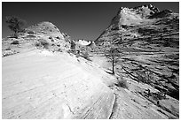 Sandstone circular striations, Zion Plateau. Zion National Park, Utah, USA. (black and white)