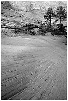Sandstone striations, Zion Plateau. Zion National Park ( black and white)