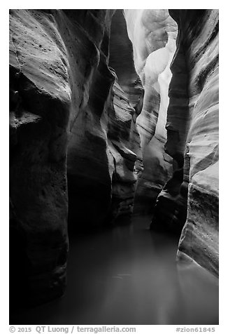 Flooded slot canyon. Zion National Park (black and white)