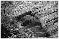 Arch, Hidden Canyon. Zion National Park ( black and white)