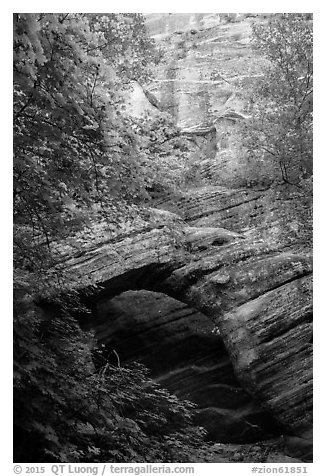 Arch and wall, Hidden Canyon. Zion National Park (black and white)