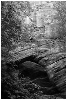 Arch and wall, Hidden Canyon. Zion National Park ( black and white)