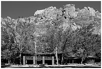 Zion lodge and cliffs. Zion National Park ( black and white)
