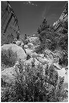 Boulders and landslide, Mystery Canyon. Zion National Park ( black and white)