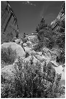 Boulders and landslide, Mystery Canyon. Zion National Park ( black and white)