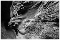 Slot canyon inside Mystery Canyon. Zion National Park ( black and white)